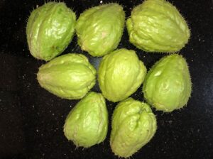 Organic Chayote in Tigoni