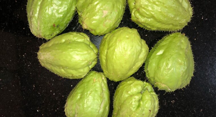 Organic Chayote – Sold out