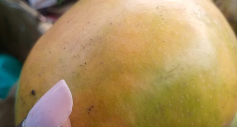 Apple mangoes
