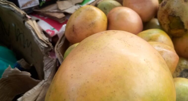 Apple mangoes