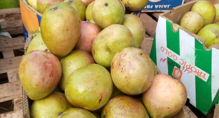 Apple mangoes