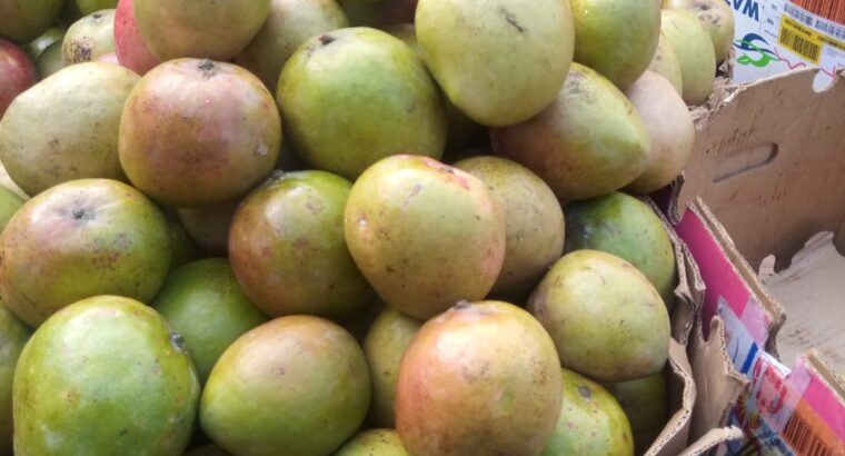 Apple mangoes