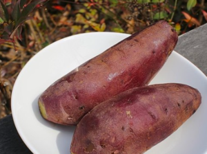 Sweet potatoes