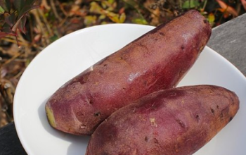 Sweet potatoes