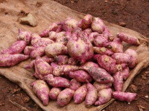 Sweet potatoes