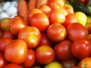 FRESH TOMATOES