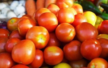 FRESH TOMATOES