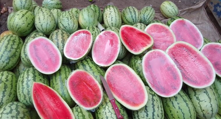 NATURE BOUNTY FRUITS