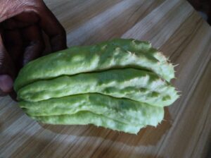 Chayote squash