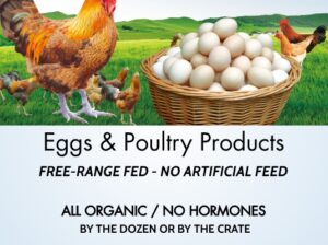 Quality homegrown Poultry