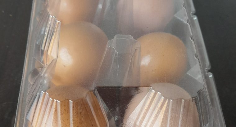 Eggs Wholesale