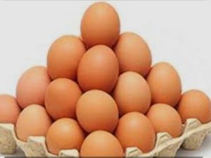 Eggs Wholesale