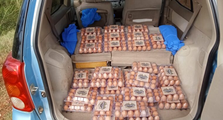 EDEN FARMS EGGS