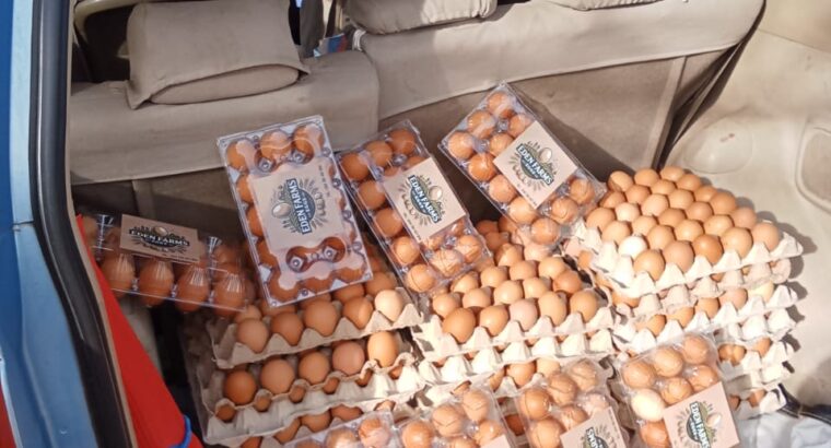 EDEN FARMS EGGS