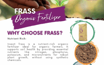 Kiberndasky Organic Fertiliser
