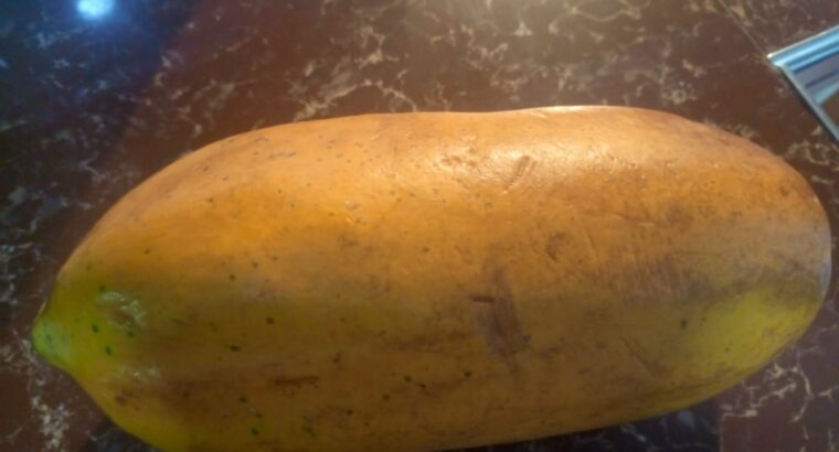 Quality Malkia F1 pawpaw