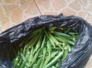 Fresh Okra ( Mabenda )