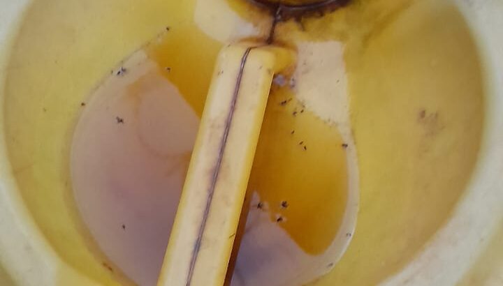 NATURAL RABBIT URINE