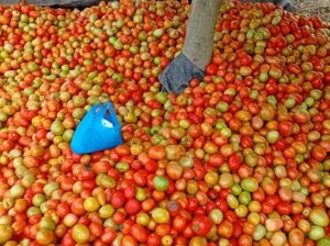 Tomatoes for sale in Athi-rive