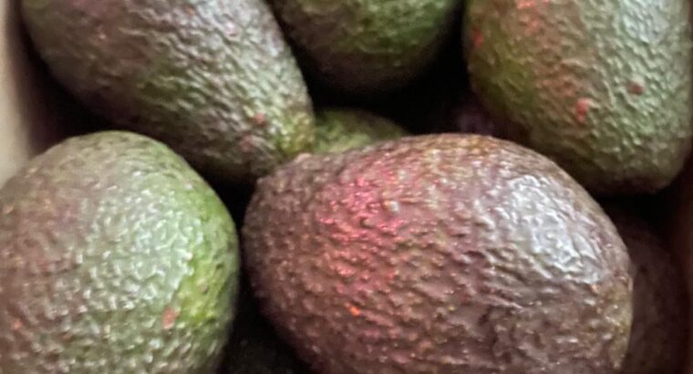 Hass Avocados 🥑