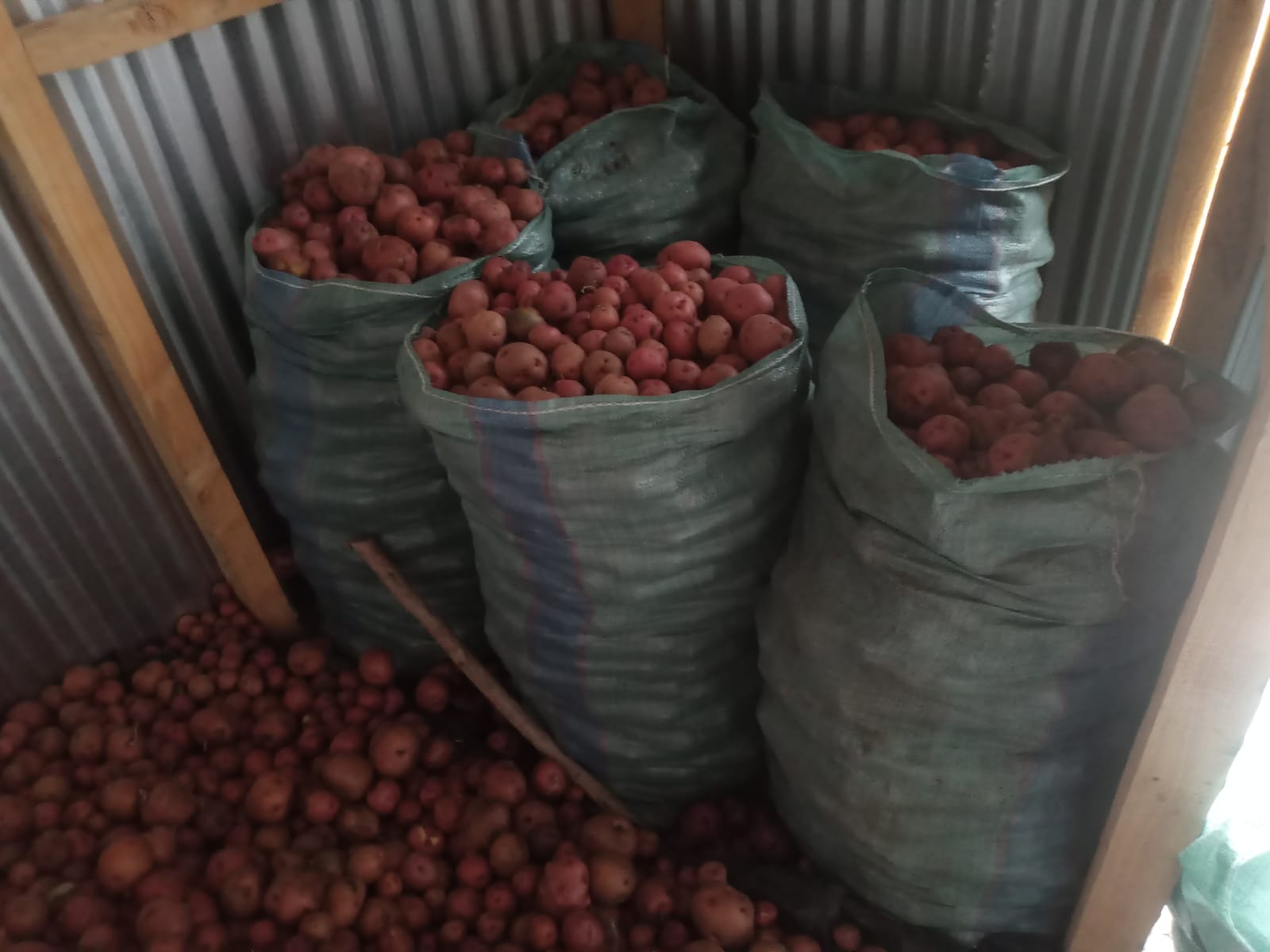 Sherekea Potatoes