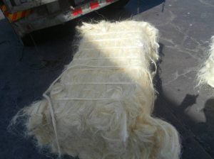 UG AND SSUG GRADE SISAL FIBER
