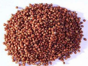 Red Sorghum-Cleaned