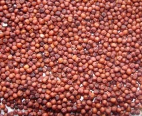 Red Sorghum-Cleaned