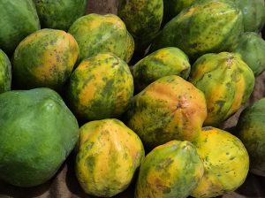 Ripe pawpaw fruits on Sale