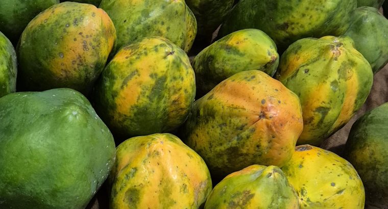 Ripe pawpaw fruits on Sale
