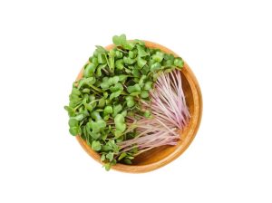 Radish