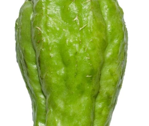 Chayote sale