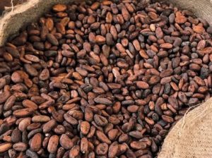 Premium Coffee beans, Cashews