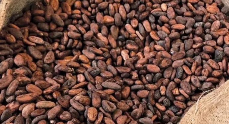 Premium Coffee beans, Cashews