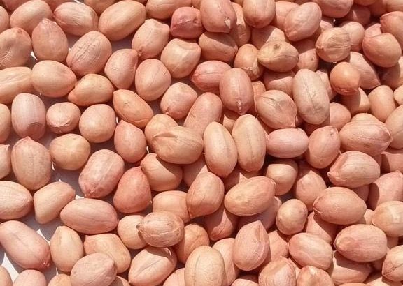 Premium Coffee beans, Cashews