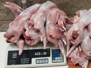 rabbit meat