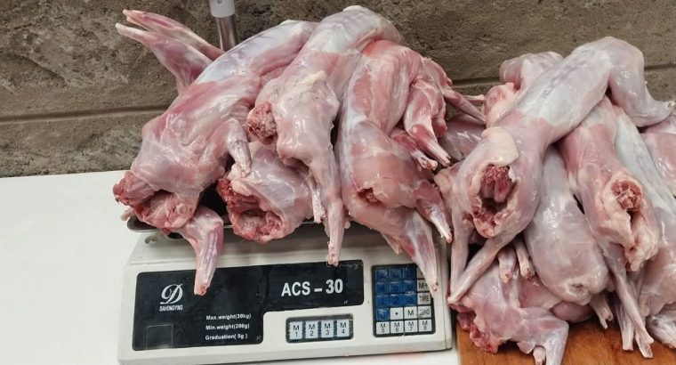 rabbit meat