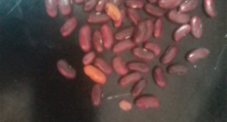 Rosecoco beans