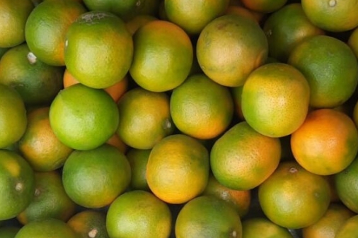 Pixie fruits