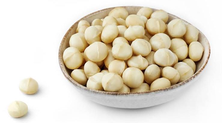 MACADAMIA NUTS