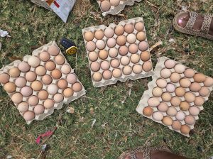 Kenbro Kienyeji F1 Eggs