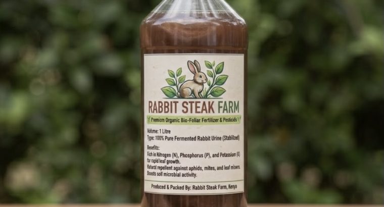 Rabbit Urine