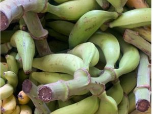 Green Plantain