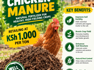 Chicken Manure