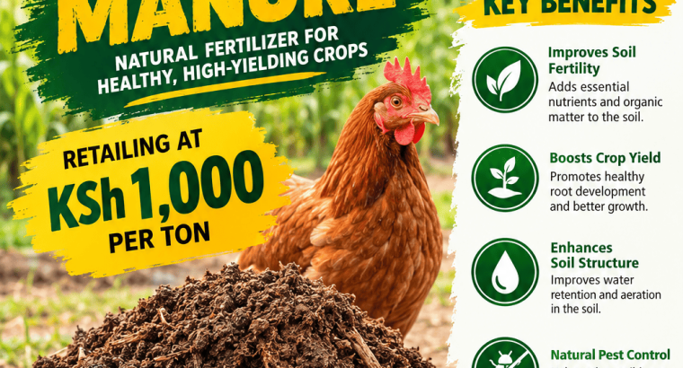 Chicken Manure