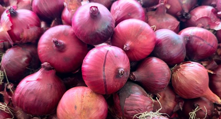 Onions for Sale in Isinya